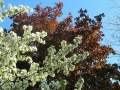 KWgarden2
