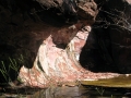 KWsedona5