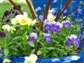 KWspring2